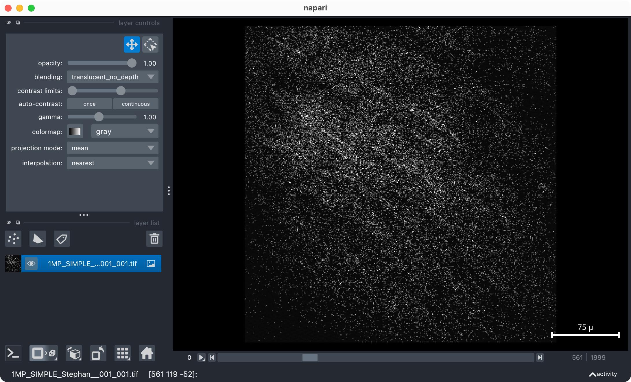 Screenshot of large TIFF opened in napari