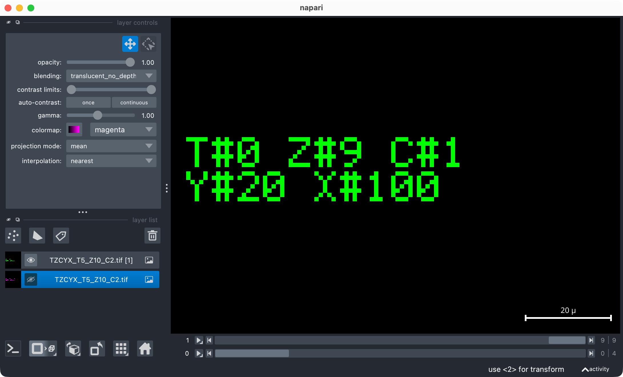 Napari viewer showing the example image