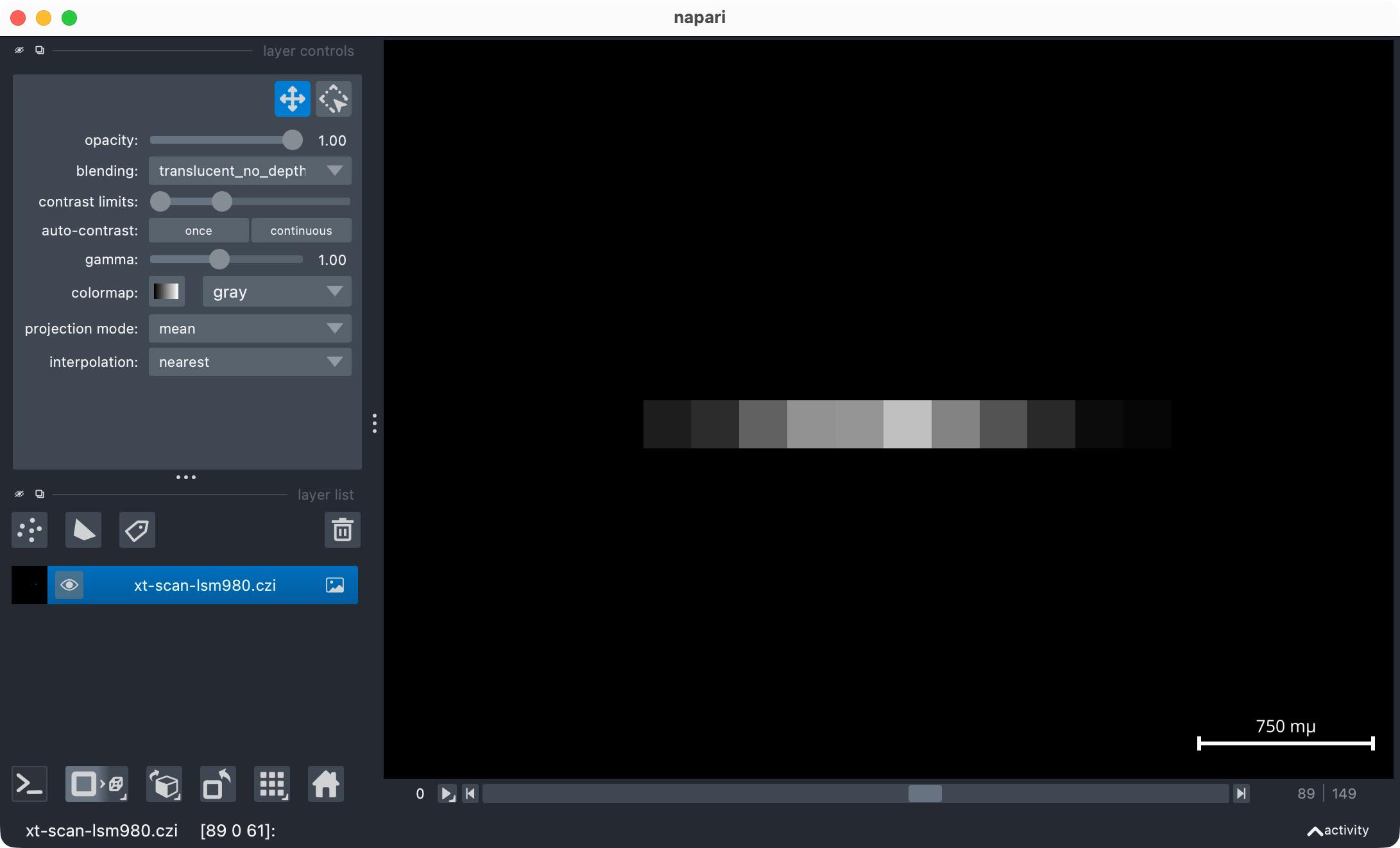 CZI sample file opened in napari
