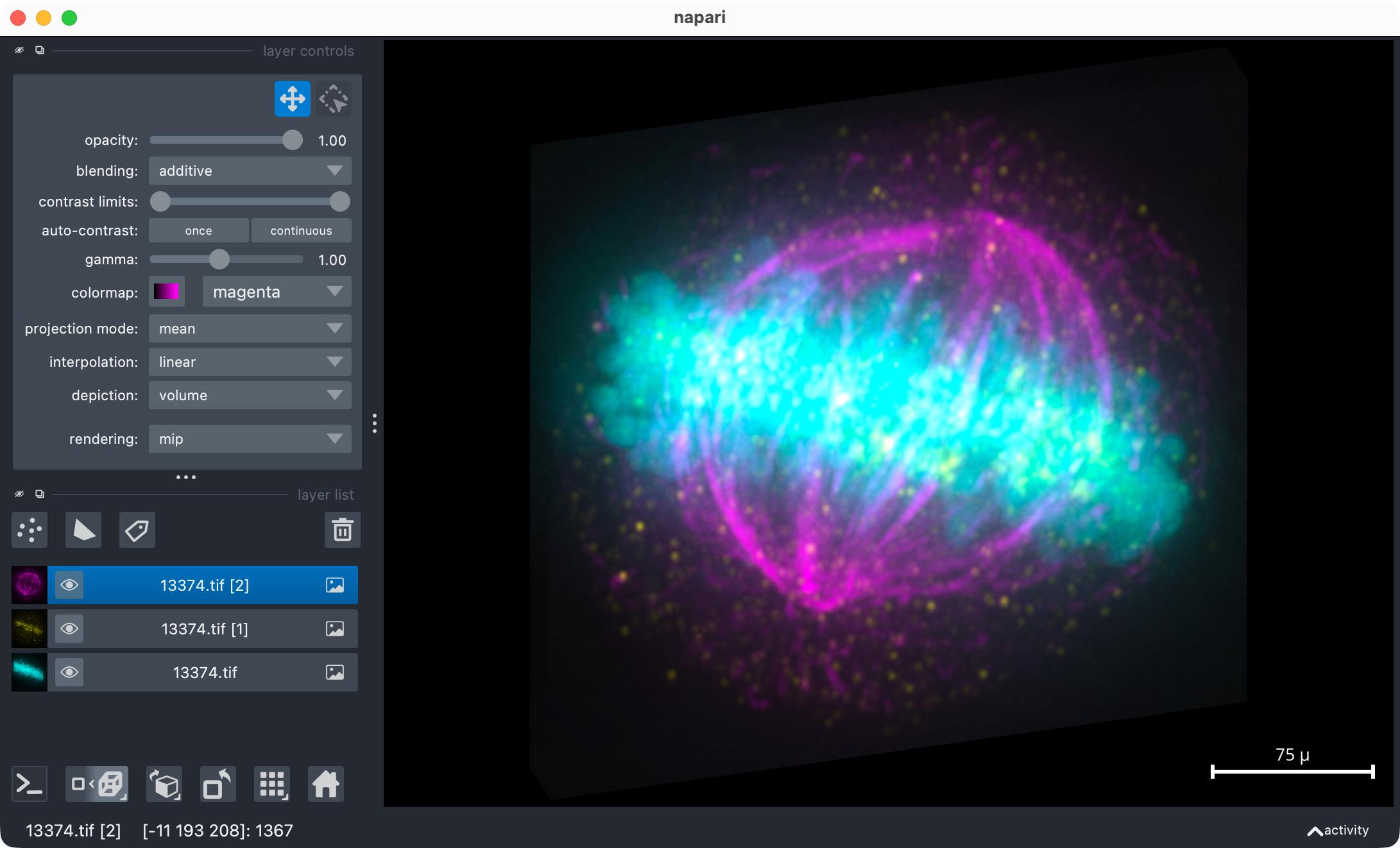Napari viewer showing the example image