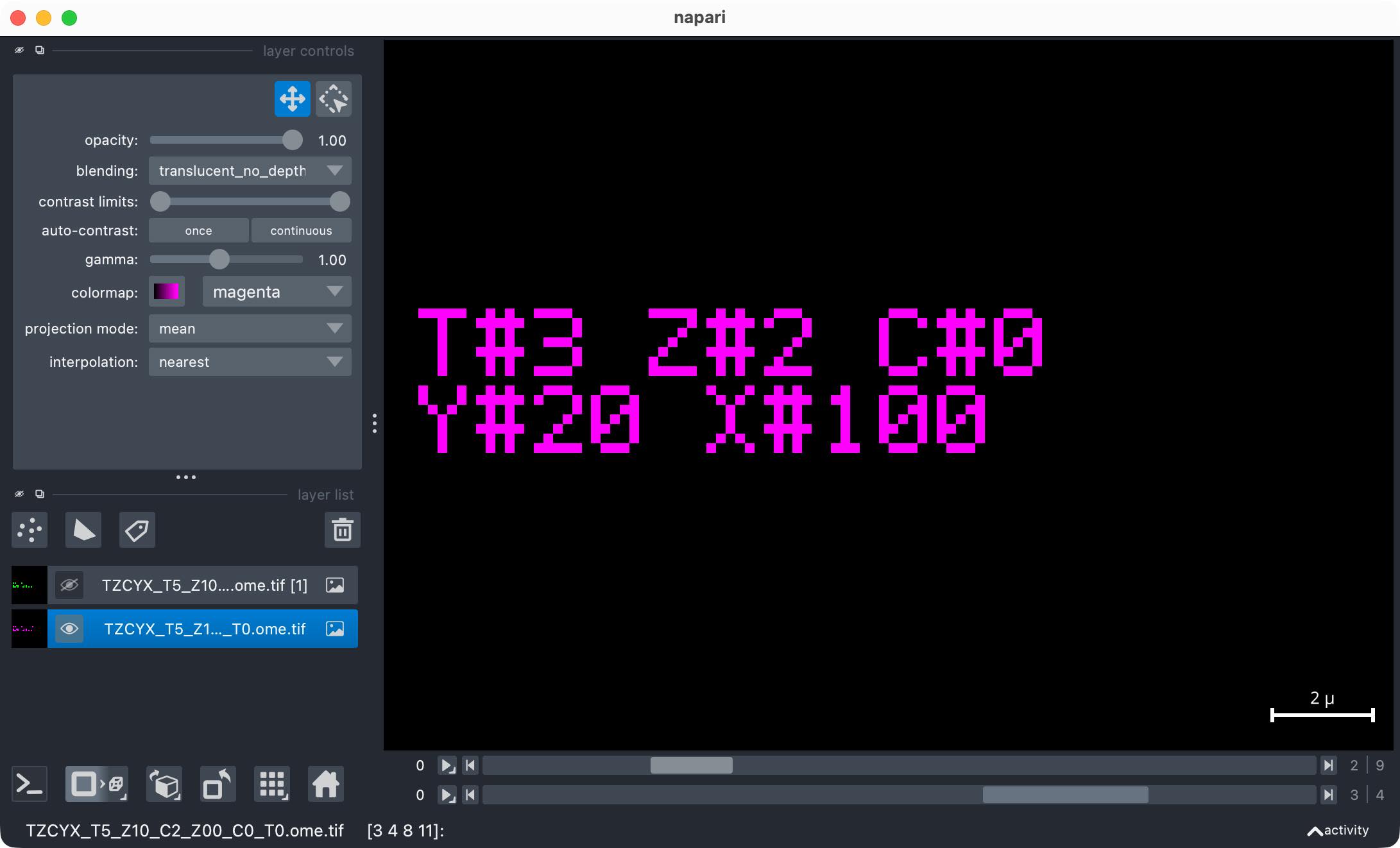 The read multi-file OME-TIFF series opened in napari.