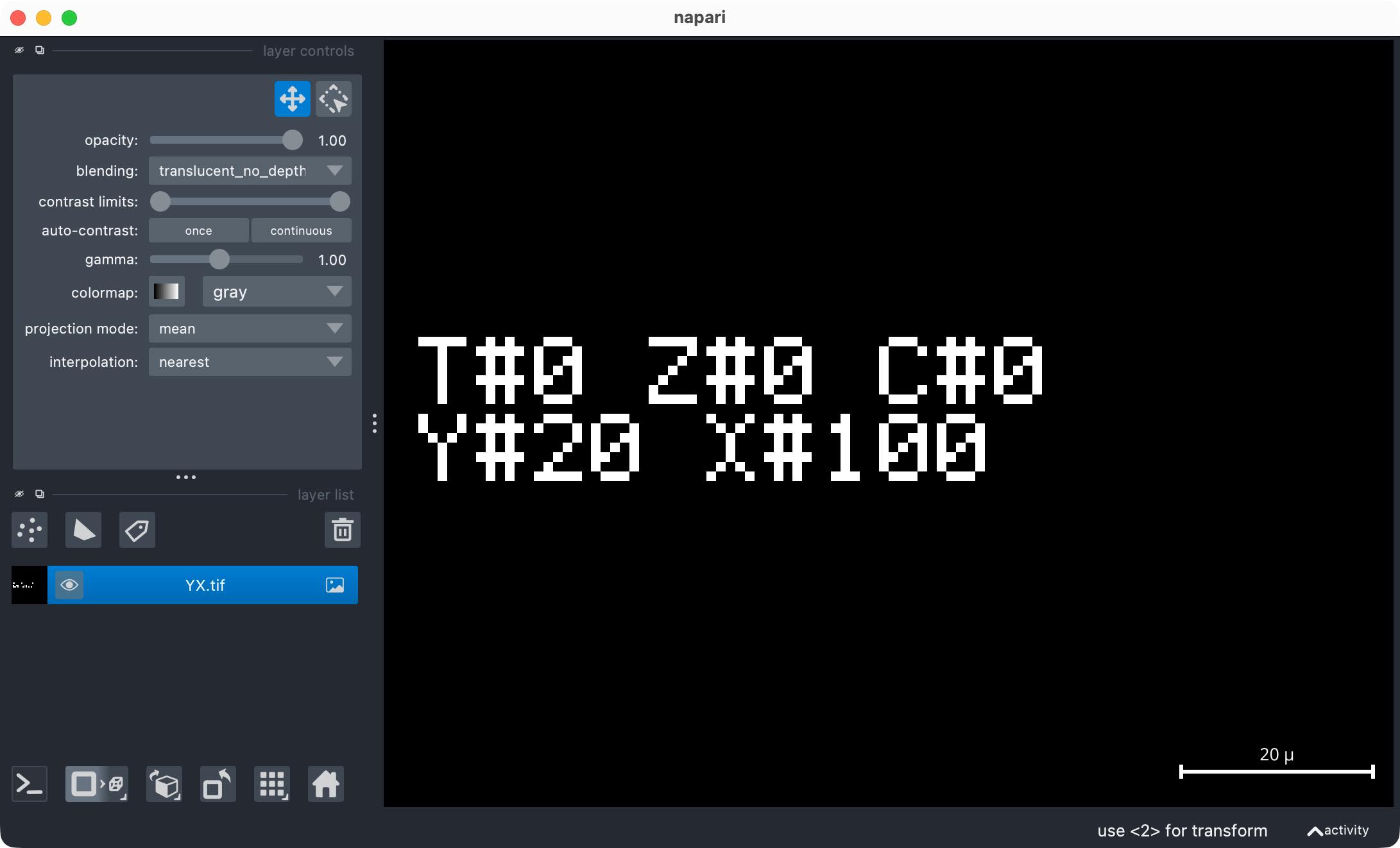 Napari viewer showing the example image