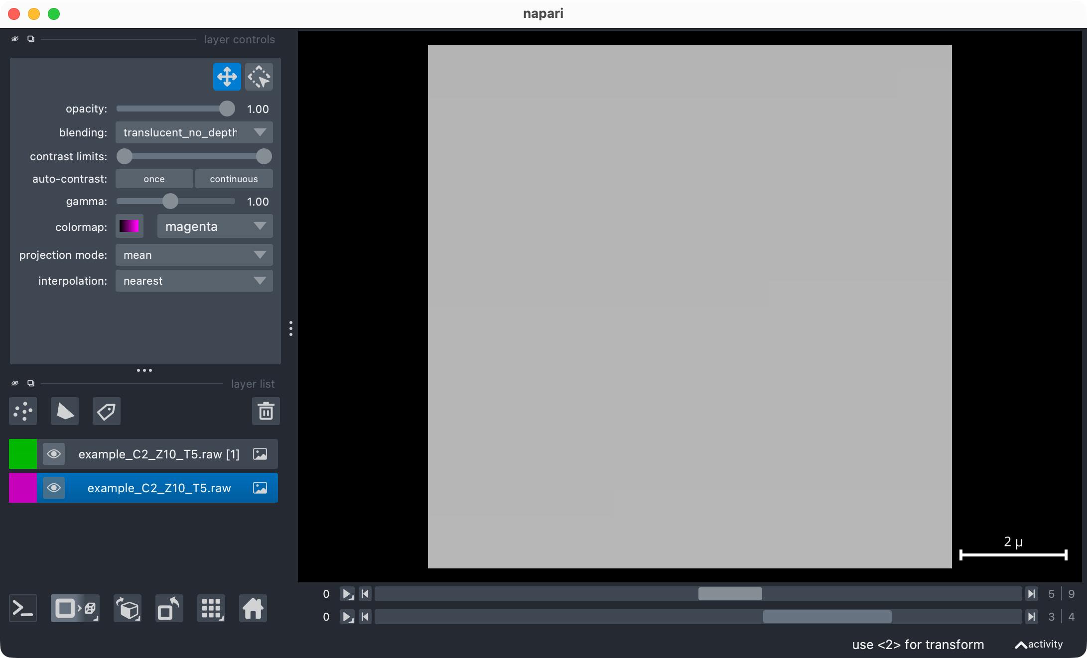 Thorlabs RAW sample file opened in napari