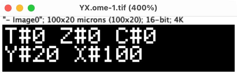Open OME-TIFF via Bio-Formats Importer in ImageJ/Fiji